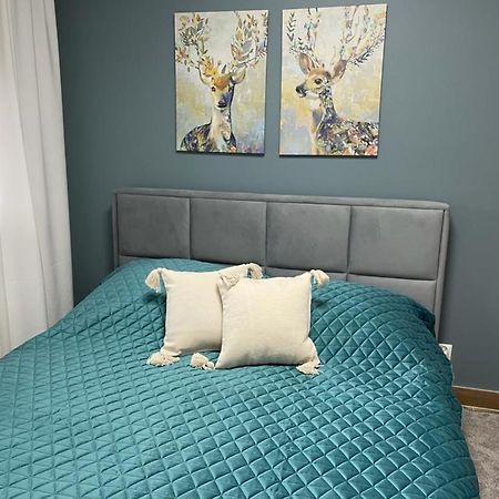 גליביצ'ה Apartament Sosnowy Zakatek מראה חיצוני תמונה