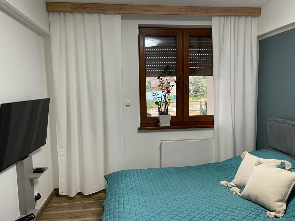 גליביצ'ה Apartament Sosnowy Zakatek מראה חיצוני תמונה