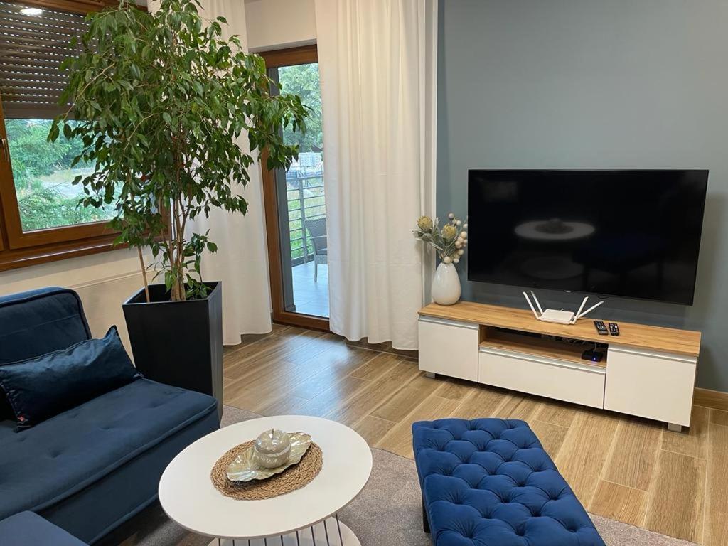 גליביצ'ה Apartament Sosnowy Zakatek מראה חיצוני תמונה
