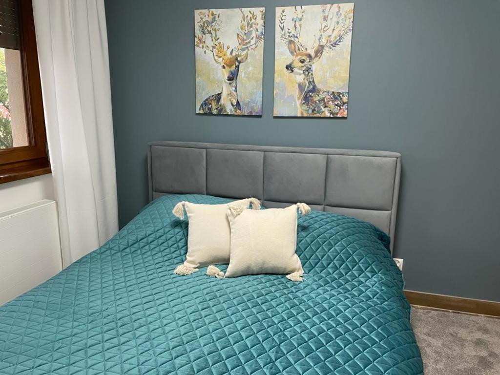 גליביצ'ה Apartament Sosnowy Zakatek מראה חיצוני תמונה