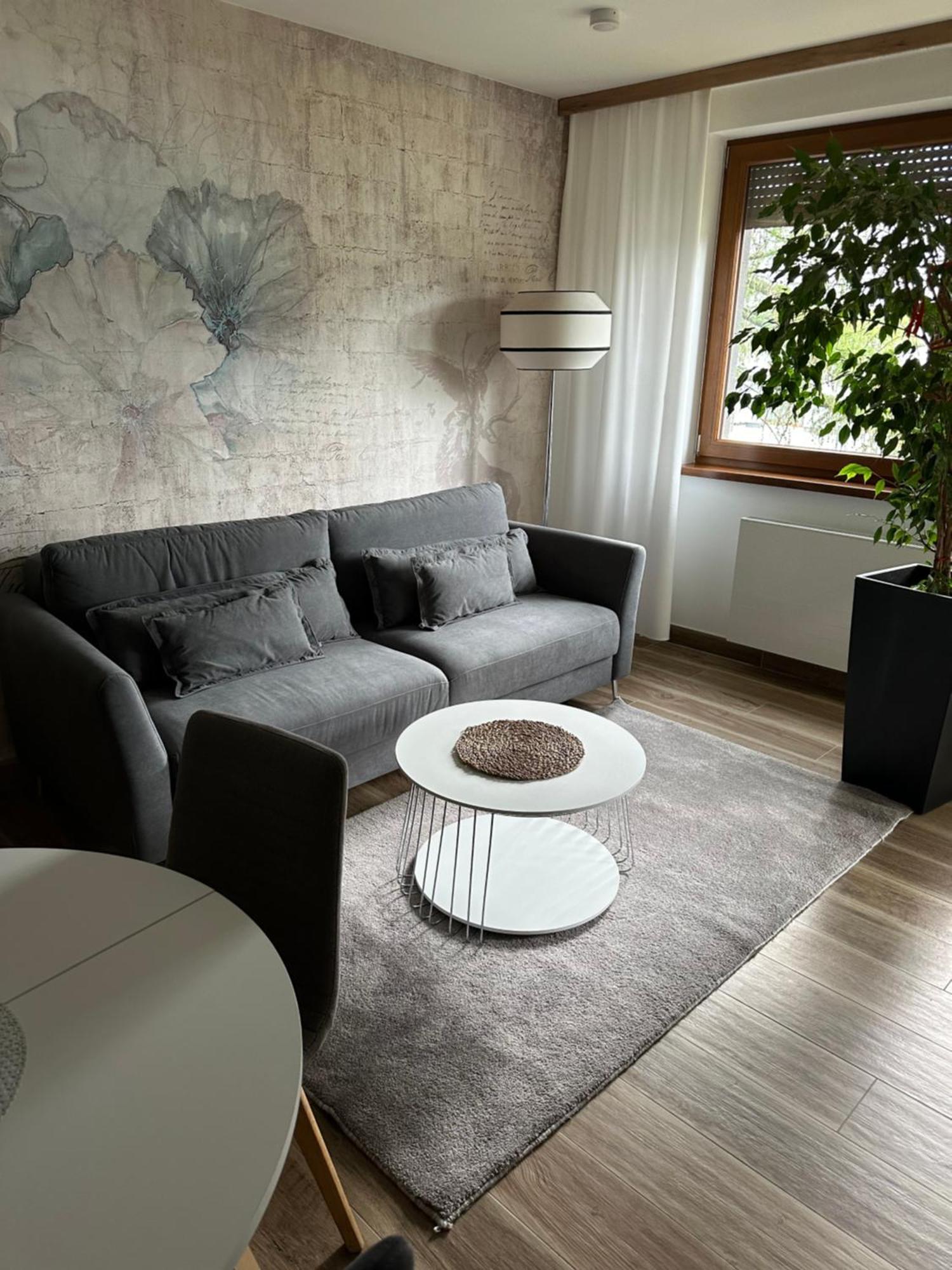 גליביצ'ה Apartament Sosnowy Zakatek מראה חיצוני תמונה