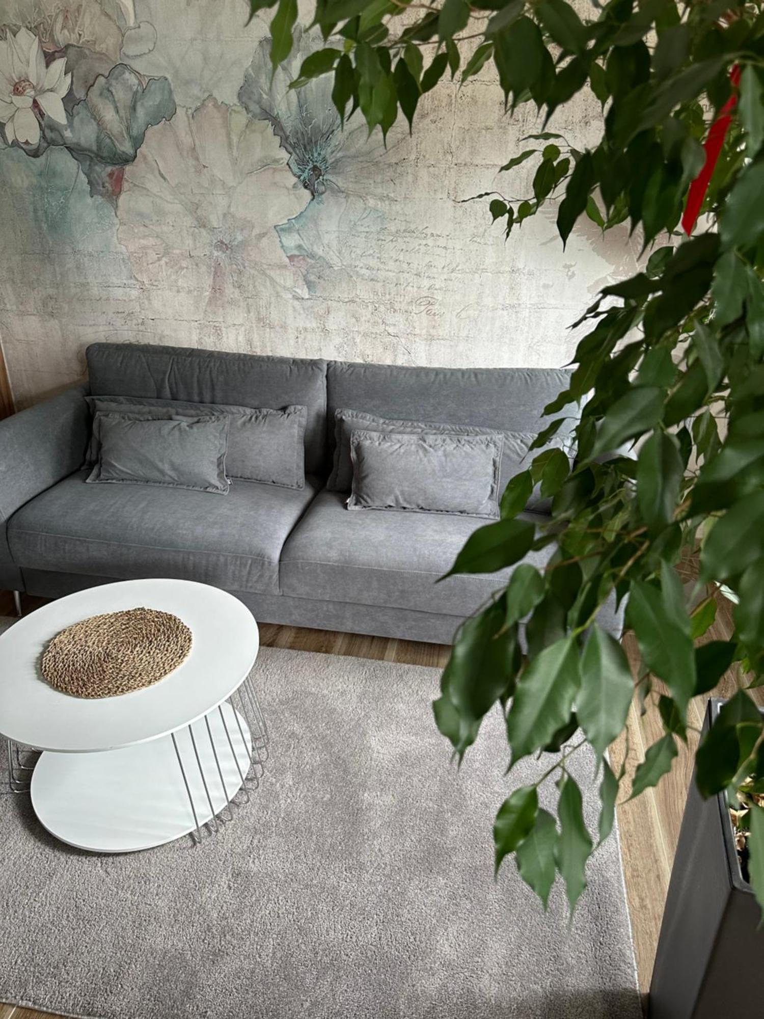 גליביצ'ה Apartament Sosnowy Zakatek מראה חיצוני תמונה